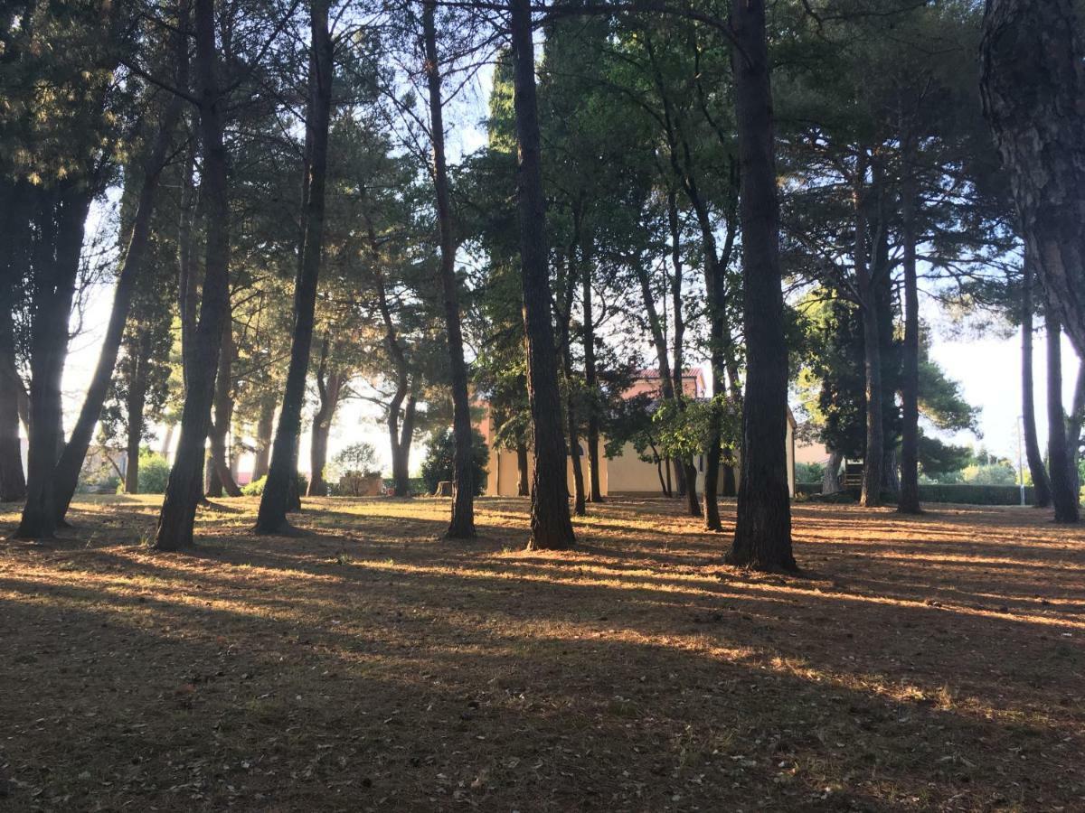Pribetic Apartment Poreč